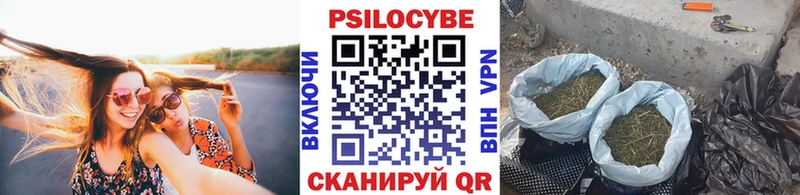 Псилоцибиновые грибы GOLDEN TEACHER  продажа наркотиков  Копейск 